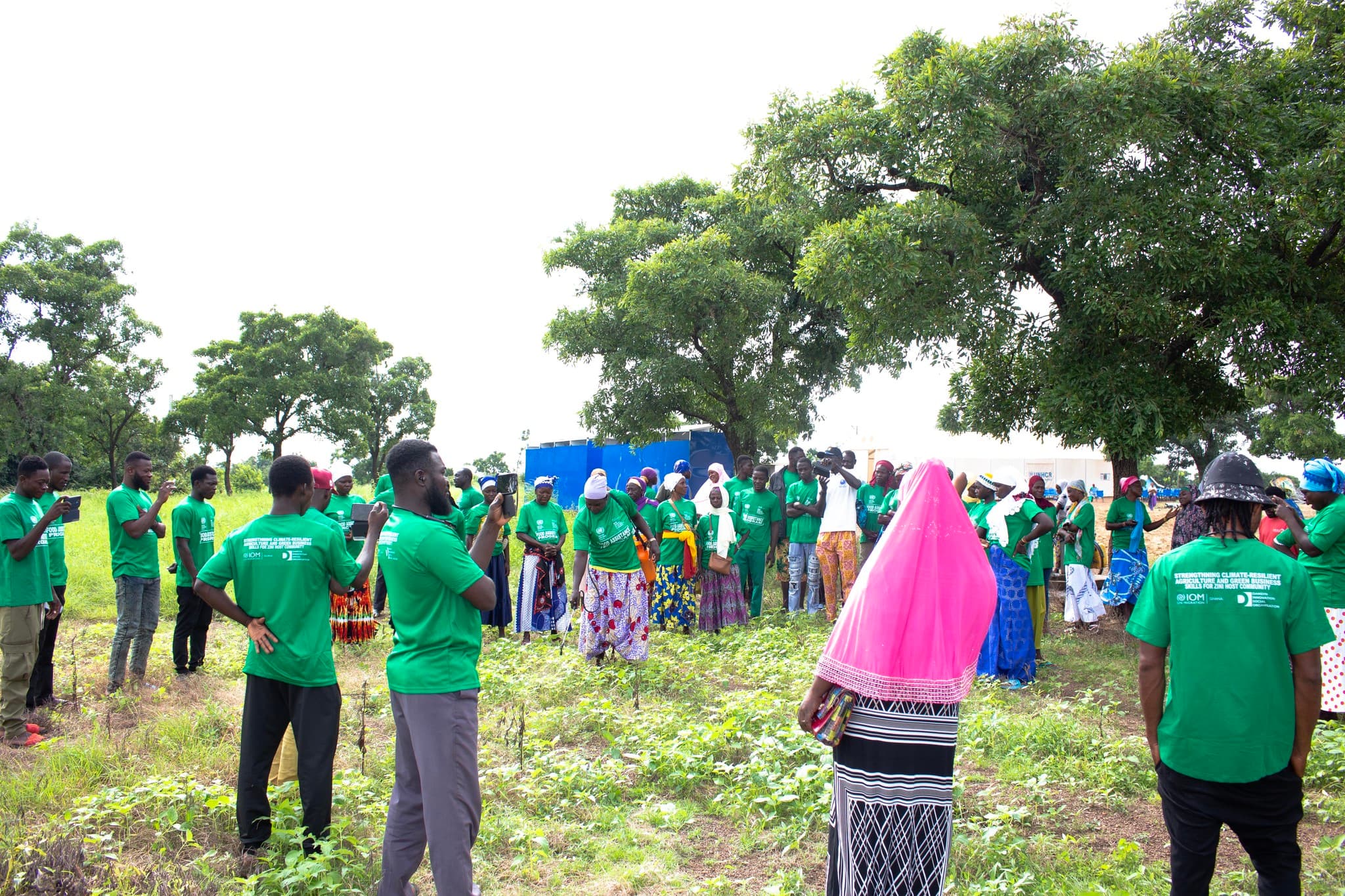 Dansyn Gallery Image 7