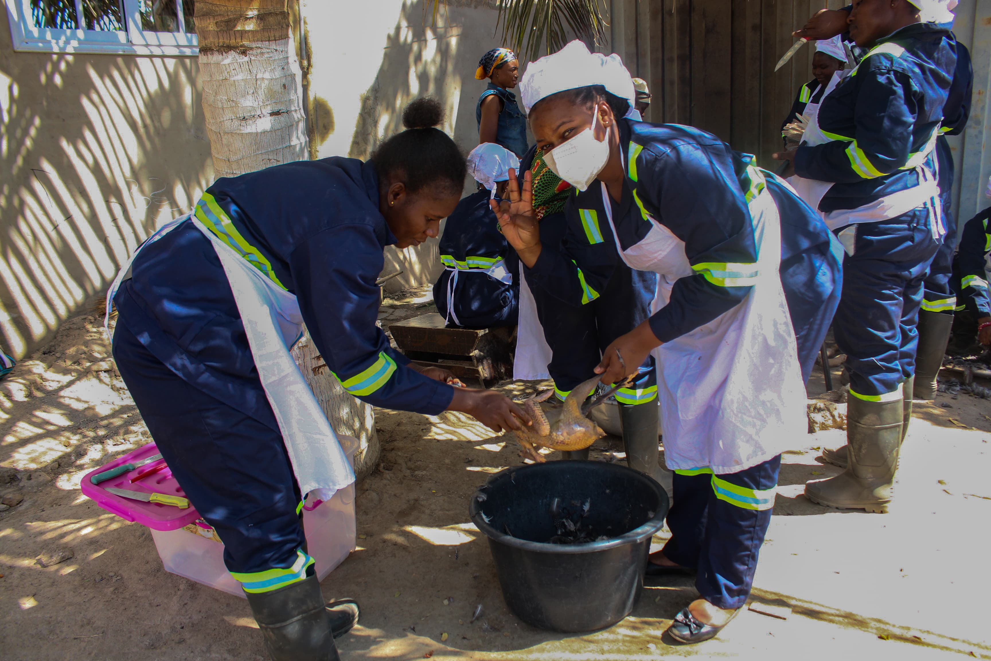 Dansyn Gallery Image IMG_0396