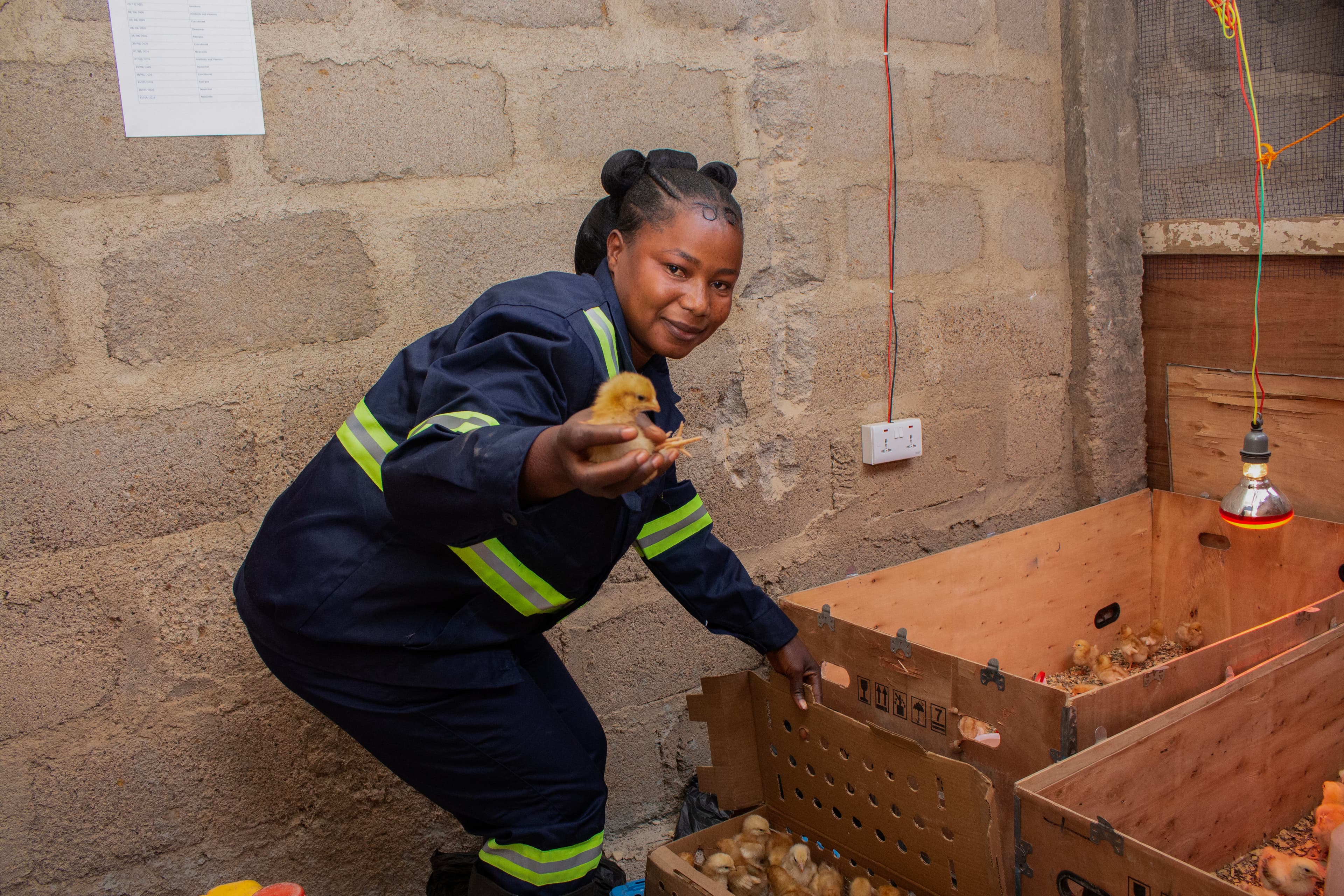 Dansyn Gallery Image IMG_9713