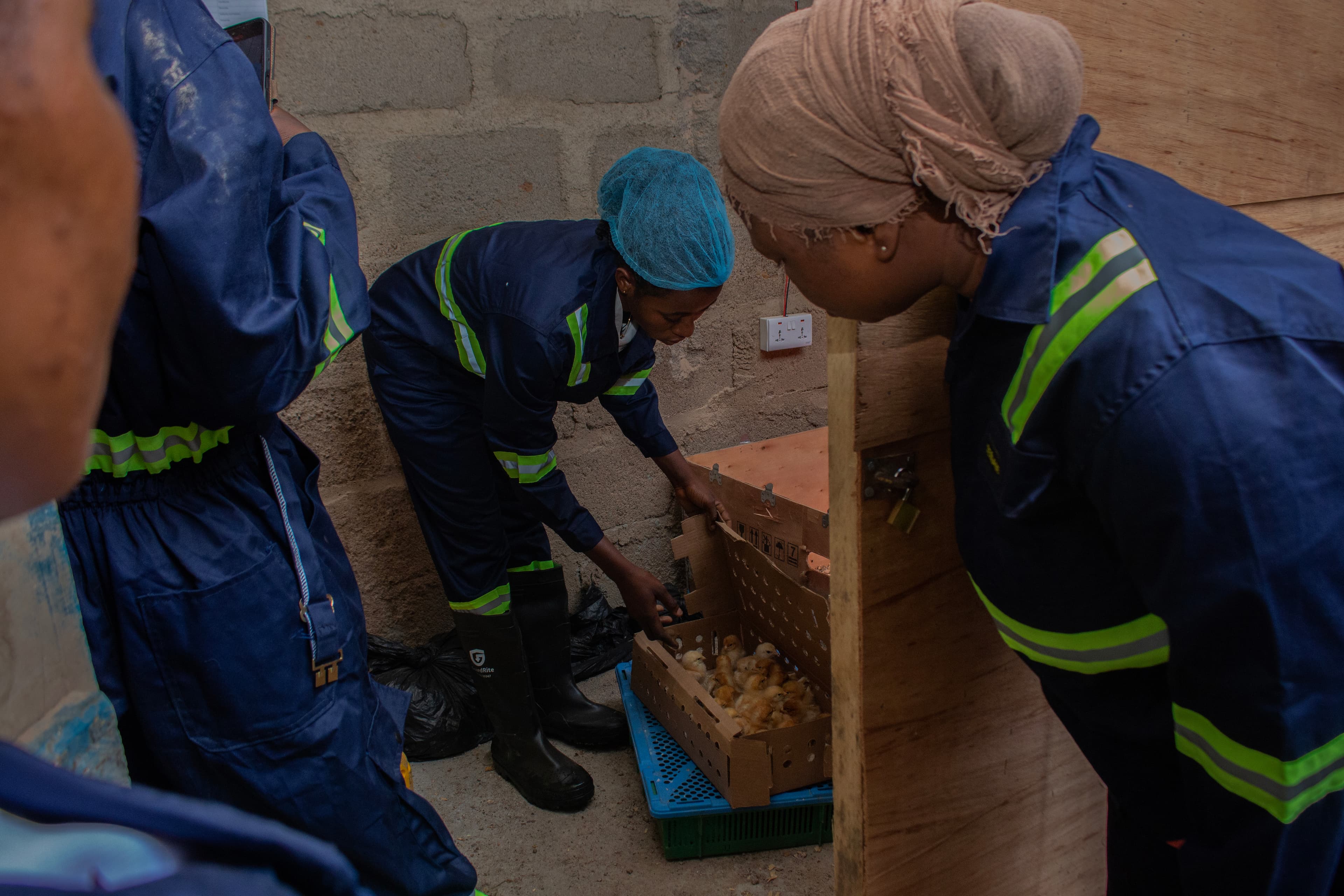 Dansyn Gallery Image IMG_9735