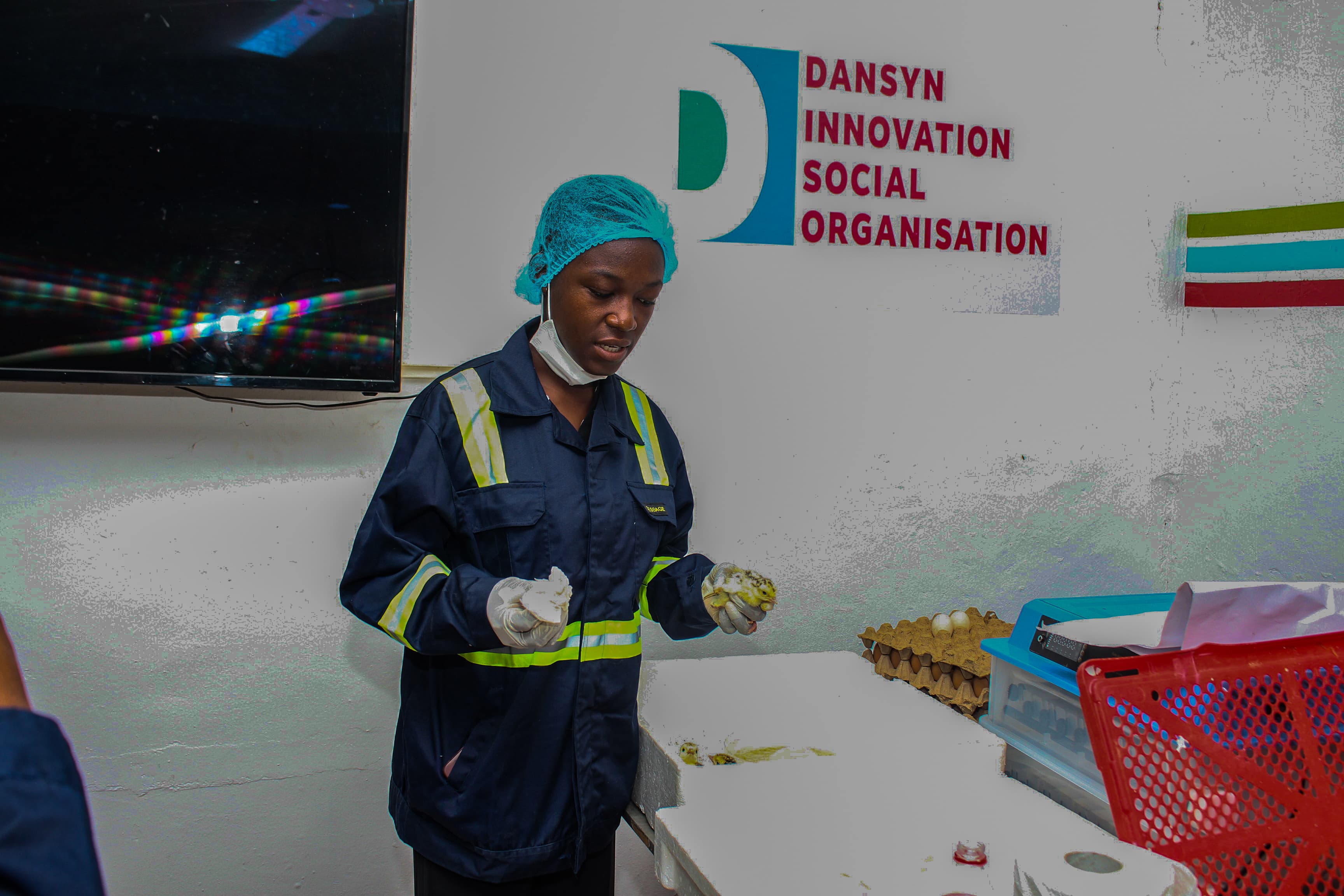 Dansyn Gallery Image IMG_9797